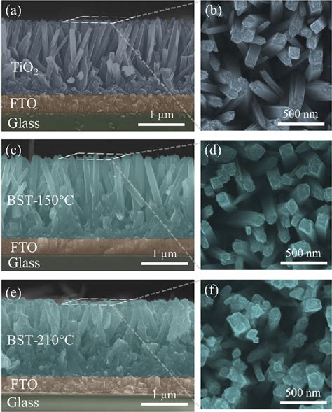 Sem Morphological Images Of Different Nanorods Cross Sectional And