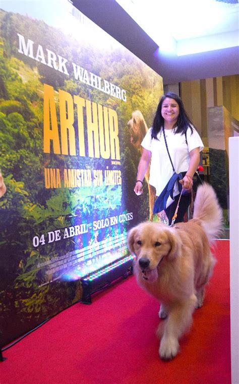 Adorables Mascotas Asistieron Al Primer Avant Premiere De Arthur Una