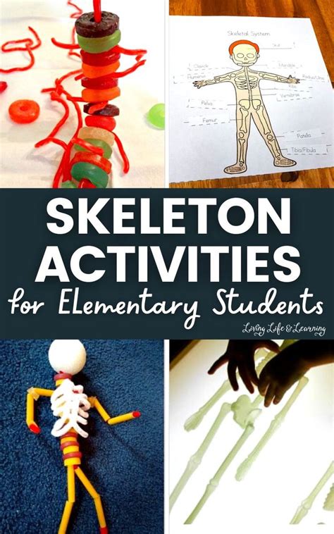 Skeleton Activities For Elementary Students In 2024 Skeletal System