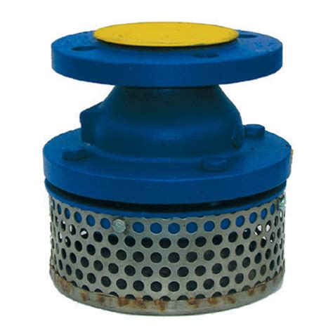 Foot Valve And Strainer Flanged Pn10 Leengate Valves