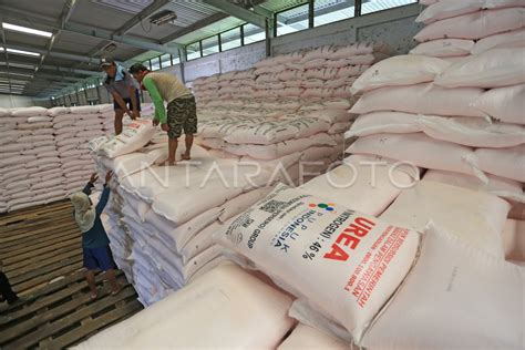 Ketersediaan Pupuk Nasional Antara Foto