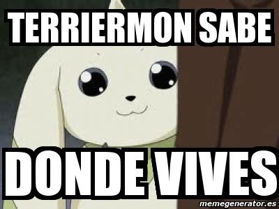 Meme Personalizado Terriermon Sabe Donde Vives