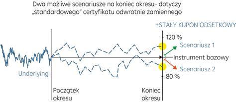 Standardowe Certyfikaty Odwrotnie Zamienne Raiffeisen Certificates