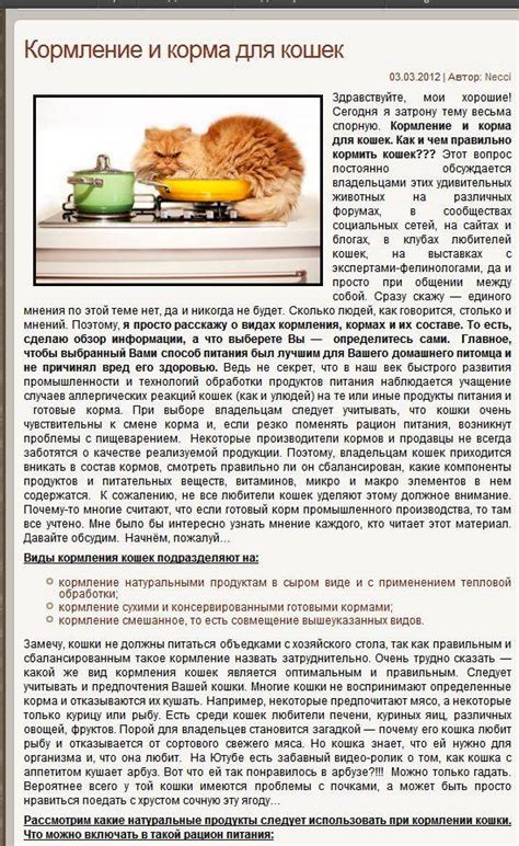 Можно ли кастрированного кота кормить обычным кормом: Чем отличается ...