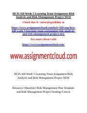 HCIS 420 Week 5 Learning Team Assignment Risk Analysis And Risk