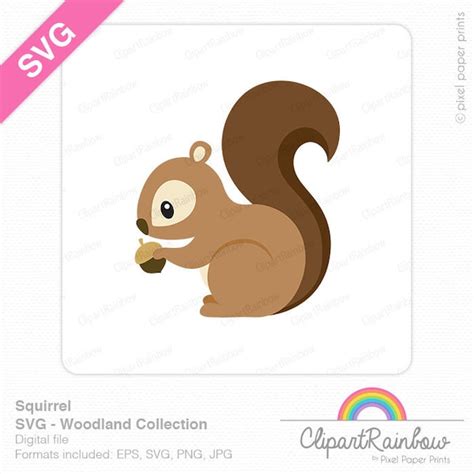 Squirrel Svg Etsy