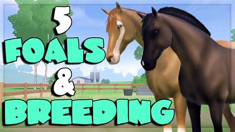 New Foals More Breeding Equestrian The Game Youtube