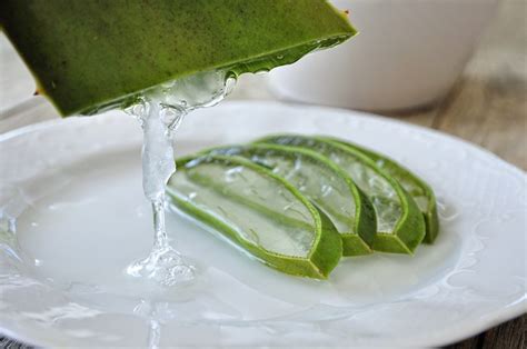 Aloe Vera Una Pianta Dai Mille Usi