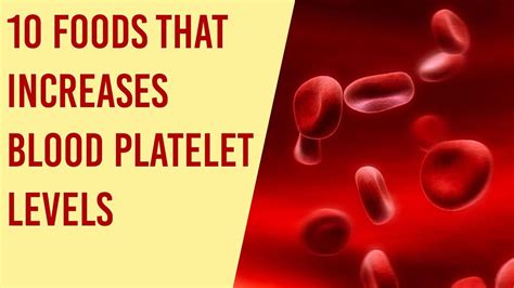 Top 10 Foods To Increase Your Blood Platelets Count Fast YouTube