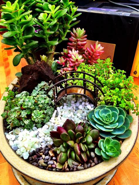 Mini Succulent Garden Pots