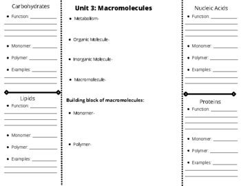 Macromolecule Foldable By Biology Kept Simple Tpt