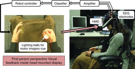 Brain Computer Interface And Motor Imagery Training The Role Of Visual