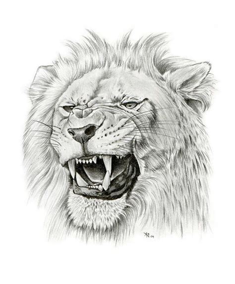 roaring lion by asussman on DeviantArt