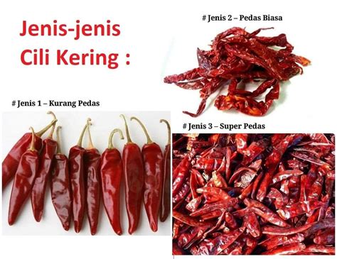 Kenali 3 Jenis Cili Kering Ini Dan Boleh Pilih Untuk Guna Dalam Masakan