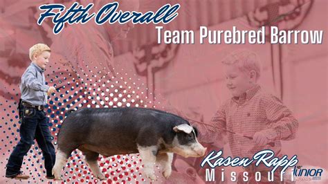 National Barrow Show Junior Classic Team Purebred Barrow The Pulse