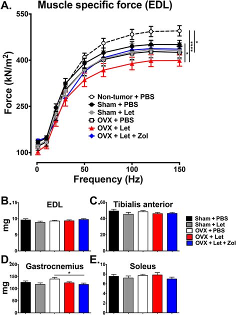 Ex Vivo Contractility Of The Edl Muscle Panel A Ex Vivo Muscle