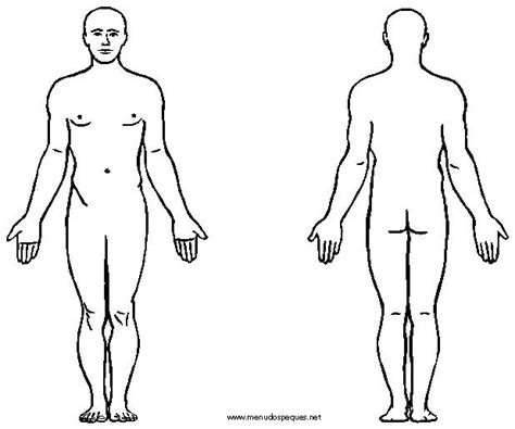 Print Map Quiz PARTES DEL CUERPO HUMANO biología naturaleza