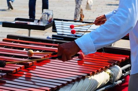 Glockenspiel Vs Xylophone - What Is the Difference? - Musical ...