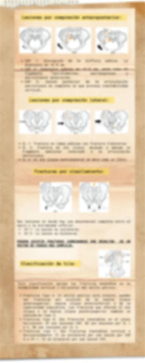 Solution Fracturas De Pelvis Studypool