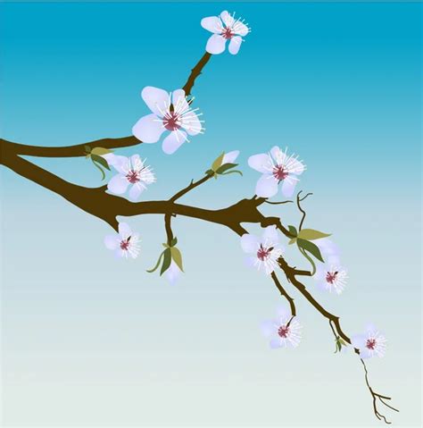 Birds On Spring Flower Branch Stock Vector By Baavli 8286721