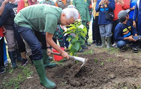 Selamatkan Lahan Kritis Ganjar Dan Warga Tanam Ribu Pohon Nayantaka