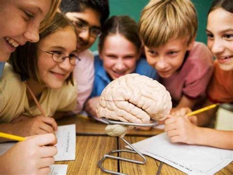 Neurociencia aplicada a la educación