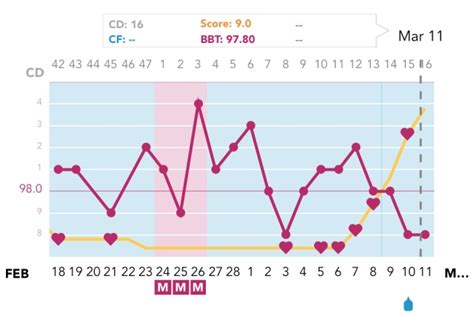 Ovulation After Early Miscarriage Glow Community