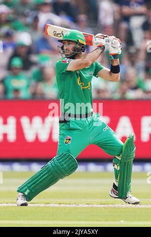 Glenn Maxwell Des Toiles Chauves Souris Lors Du Match De Cricket De La