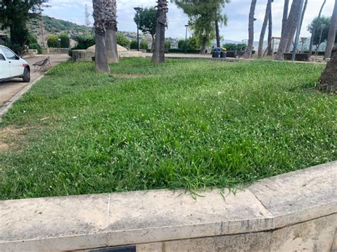 Giardino Ibleo Taglio Del Prato Comune Di Ragusa