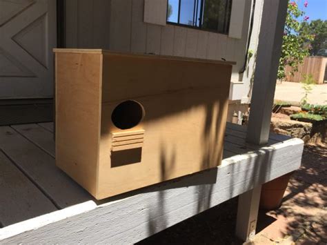 Setting up a Barn Owl Nest Box in Your Yard - Avian Behavior International