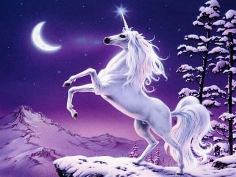 Meet The Fantastical Creature Unicorn