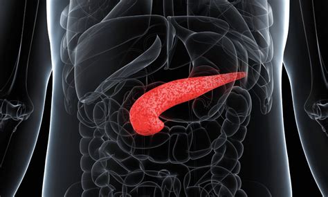 Somatostatin Hormonu Nedir? | Molekülce