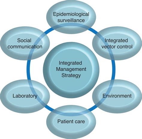 Integrated Management Strategy For Dengue Prevention And Control PAHO