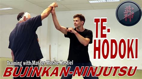 Bujinkan Ninjutsu Te Hodoki Befreien Der Schlagenden Hand Mit Meister