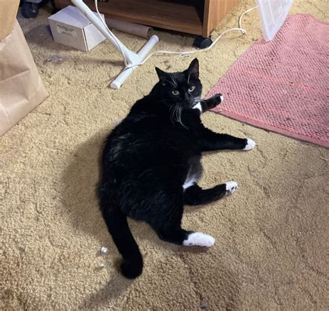 Naked Capitalism Finance Economics Politics Power