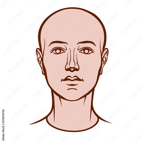 Face Human Head Drawing