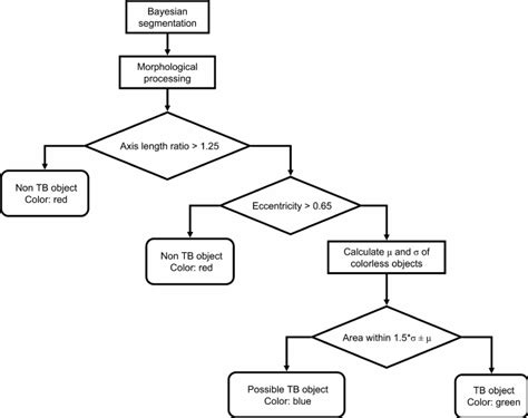 Iata Classification Flowchart