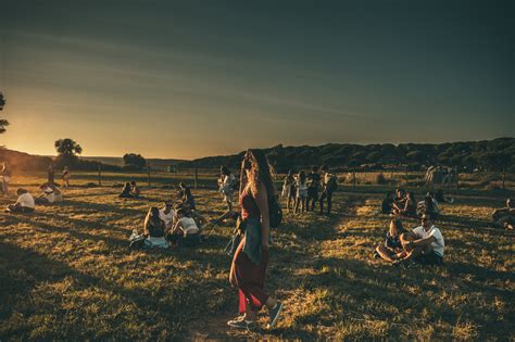 Vis O Super Bock Super Rock Instant Neos Do Meco