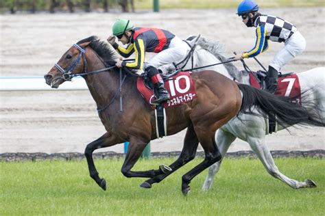 【マイルcs】シュネルマイスターは5枠9番 競馬ニュースなら競馬のおはなし