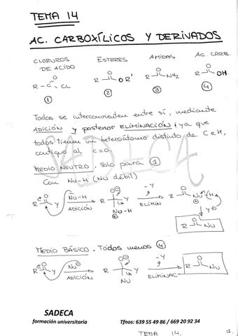 TEMA 14 ORGANICA Pdf