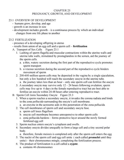 Chapter 23 Exam 1 Chapter 23 Pregnancy Growth And Development 23 Overview Of Development