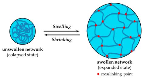 Polymers Free Full Text Bioinspired Hydrogels As Platforms For Life