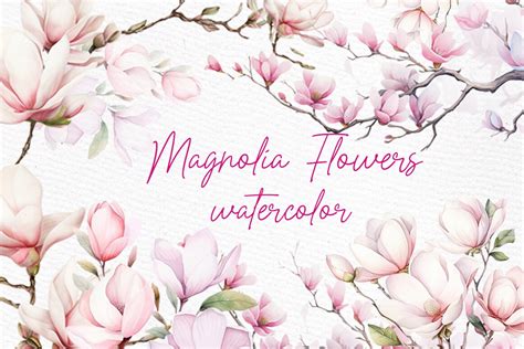 Watercolor Magnolia Flowers Clipart Graphic By Lecoqdesign Creative