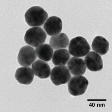 Silver Dispersion Nanoparticles 10 Nm Particle Size TEM 0 02 Mg ML