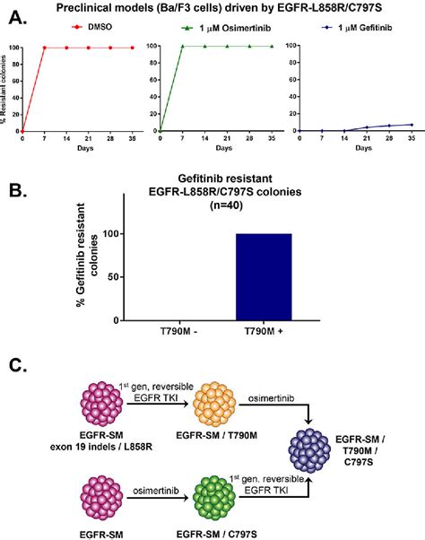 Figure 1 From EGFR Mutated Lung Cancers Resistant To Osimertinib