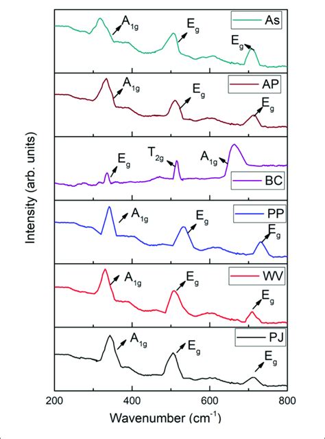 Raman Spectra Of Iron Oxide Nanoparticles Ionps Using Various