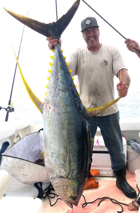 Article Wide Variety Of Tuna Caught Off The North Coast