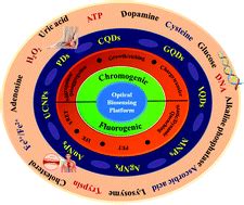 Recent Progress In 0D Optical Nanoprobes For Applications In The