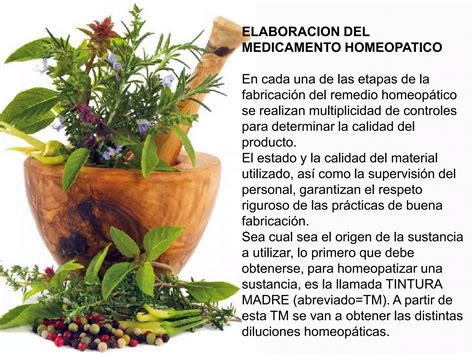 Medicamentos Homeopaticos PDF