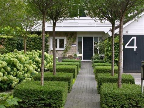 Hydrangeas Topiary And Boxwood In The Modern Country Garden Country